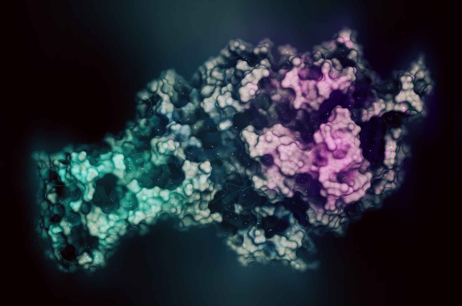 mitochondrial assay