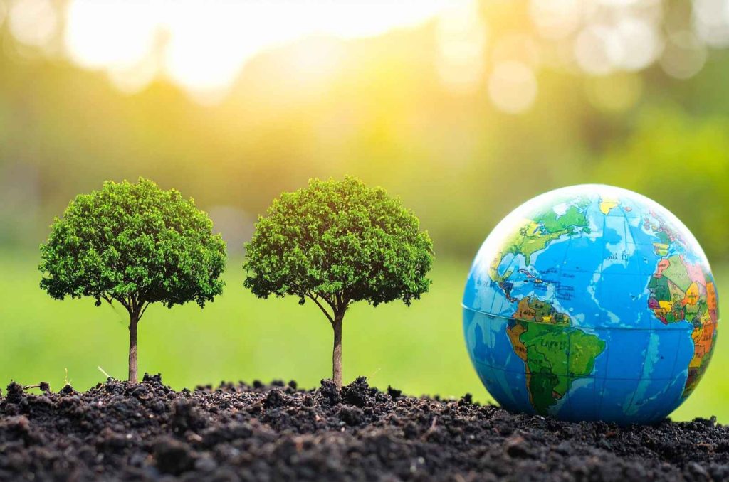 מכללה ללימודי קיימות וסביבה