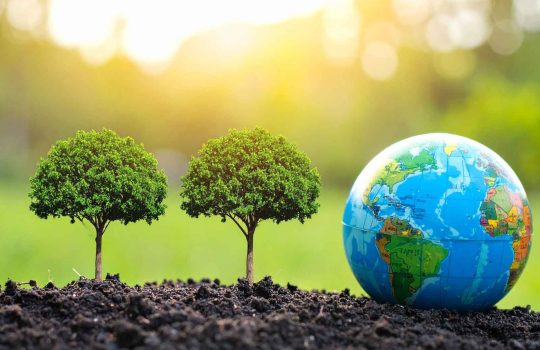 מכללה ללימודי קיימות וסביבה2