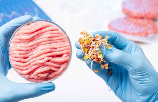 תחליפי בשר2